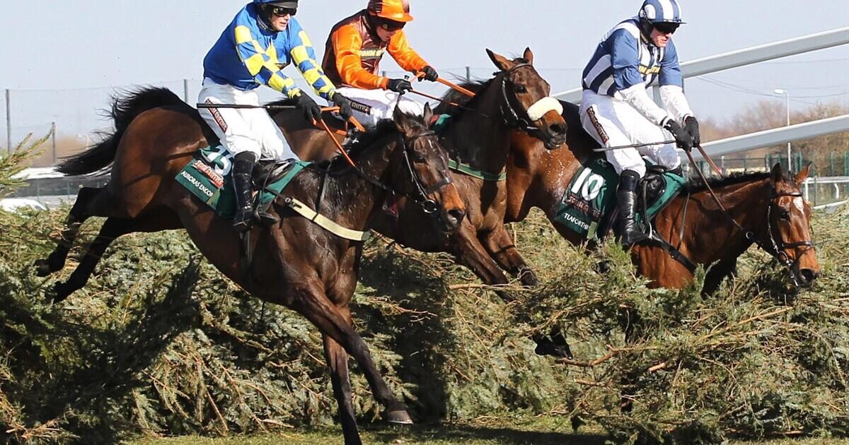 Grand National Preview, Tips, Runners & Trends (Grand National Meeting ...
