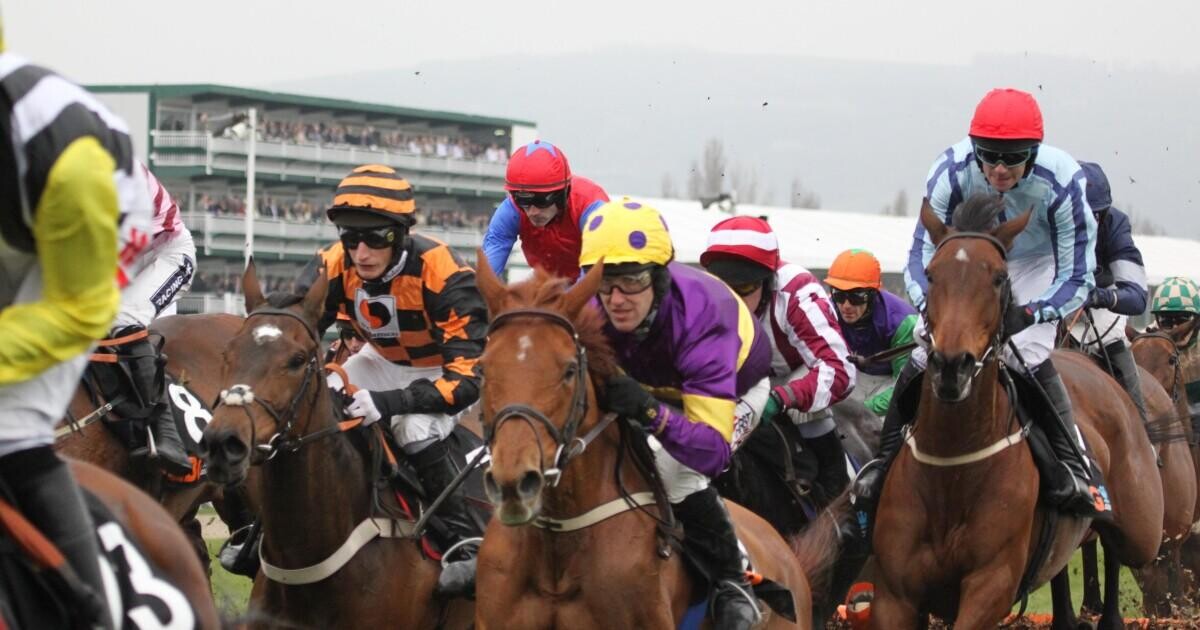 Premier Kelso Hurdle Preview, Tips, Runners & Trends