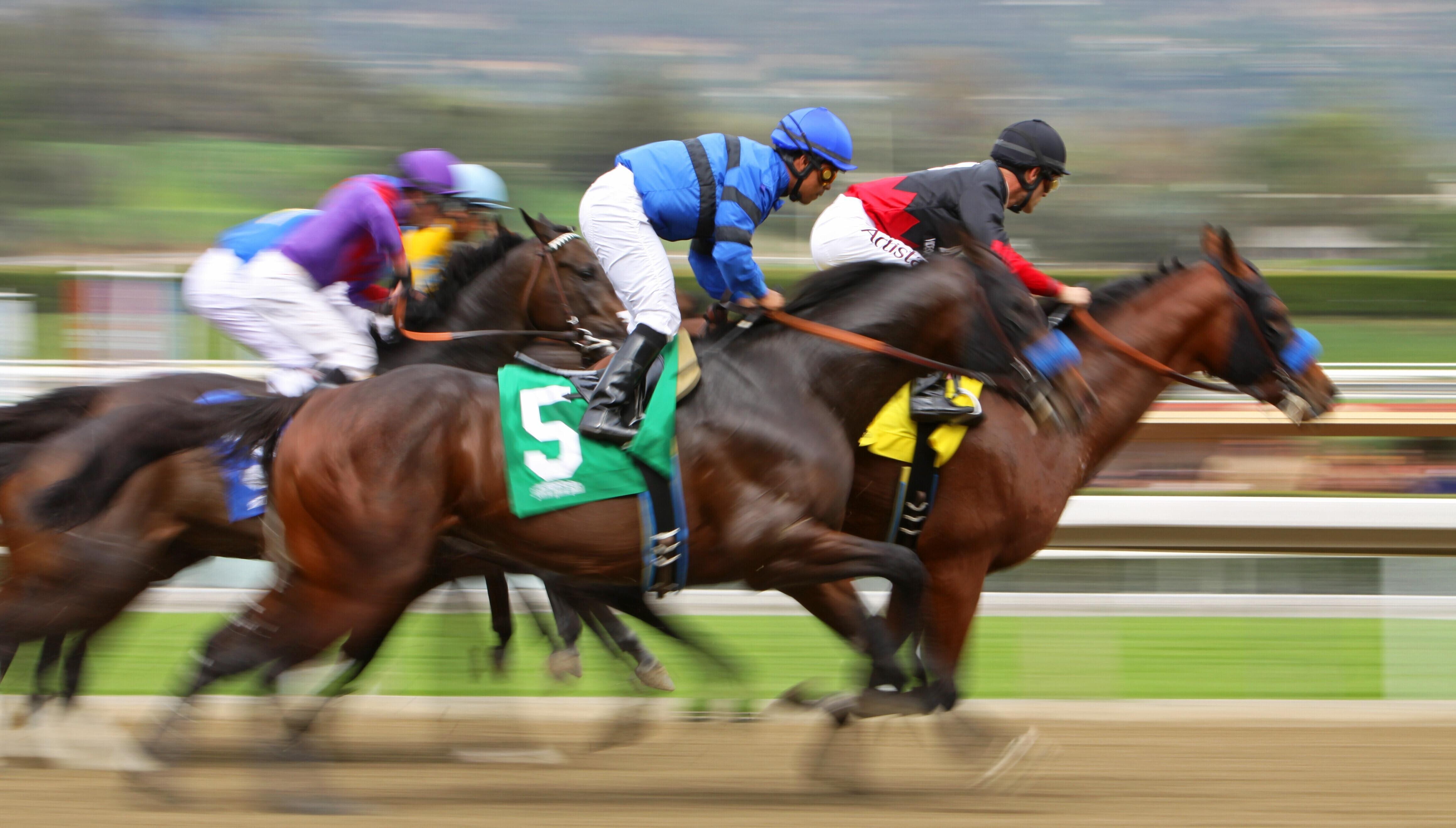 horse racing wager calculator