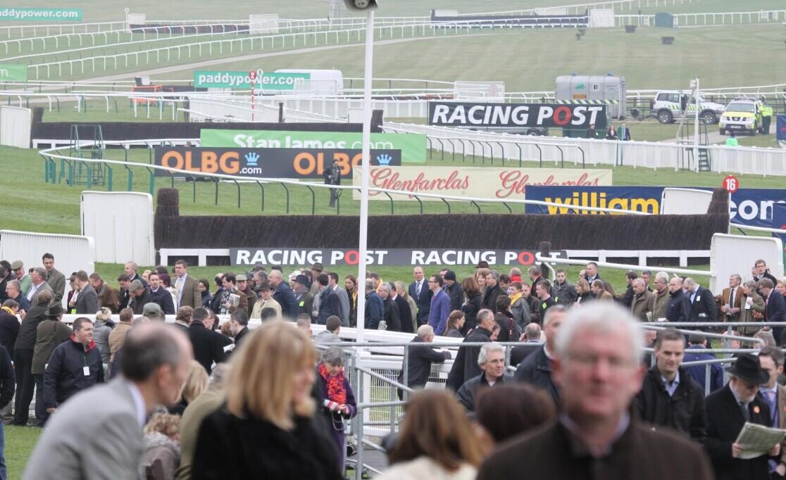 National Hunt Chase Challenge Cup Preview, Tips, Runners & Trends (Cheltenham Festival)