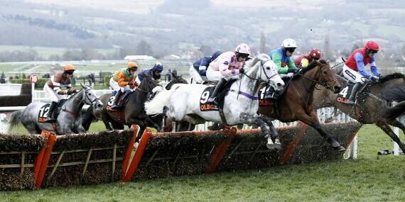 Long Distance Hurdle Preview, Trends & Analysis