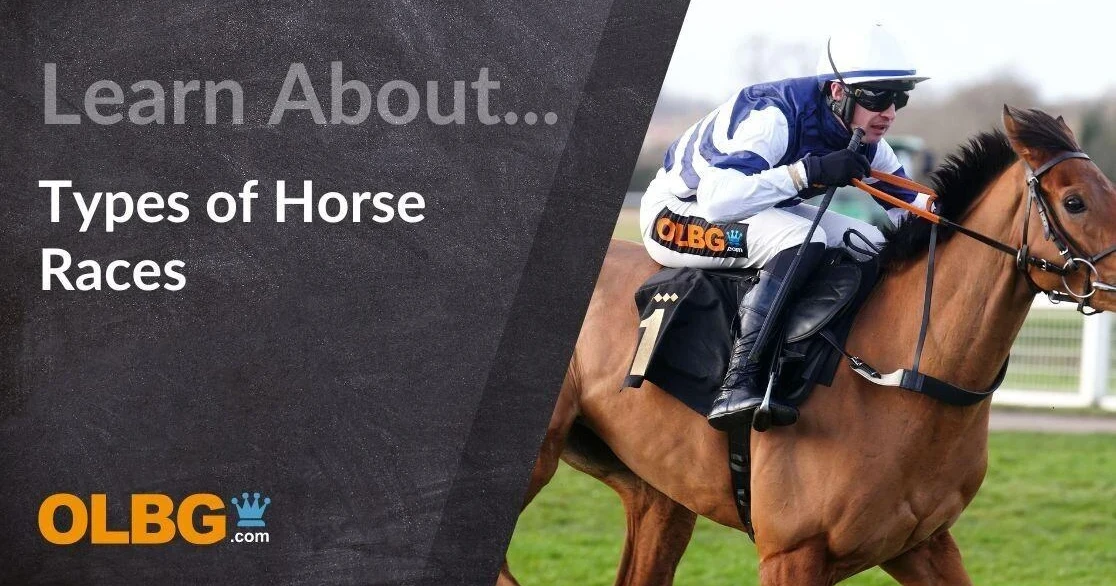 Types of Horse Races - Understand then all In This Guide