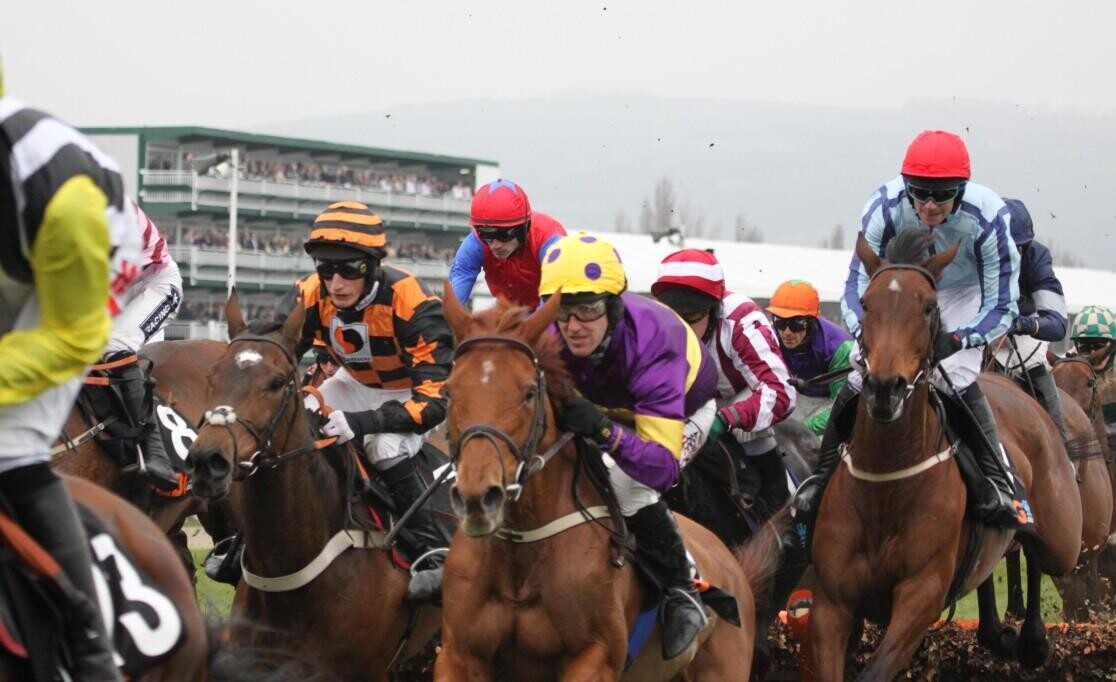 Royal Bond Novice Hurdle Preview, Trends & Analysis (The Winter Festival)
