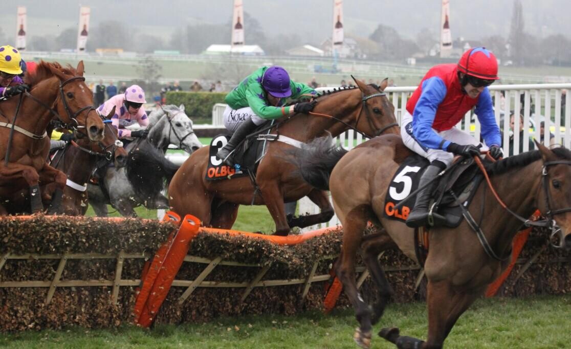 2023 Finesse Juvenile Novices Hurdle Preview, Trends & Analysis