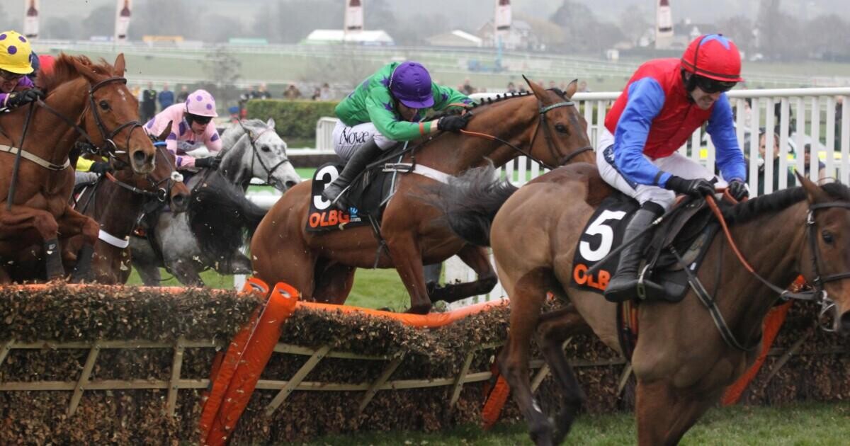 Cricket Bookie App Cricket Bookie App