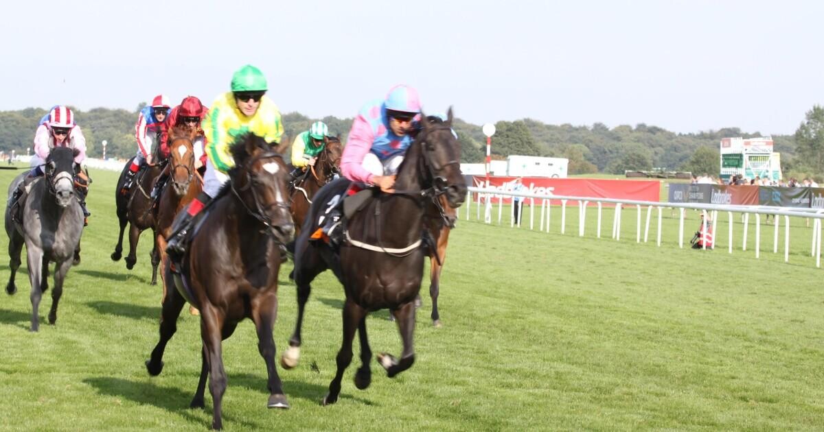 British Champion Stakes Preview, Tips, Runners & Trends