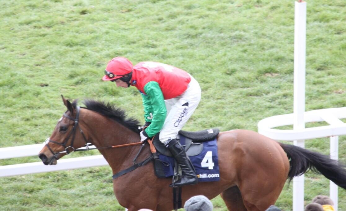 Horse Racing Trainers To Follow In May NH Scratville Blog OLBG horse-racing-trainers-to-follow-in-may-nh-scratville-blog-olbg