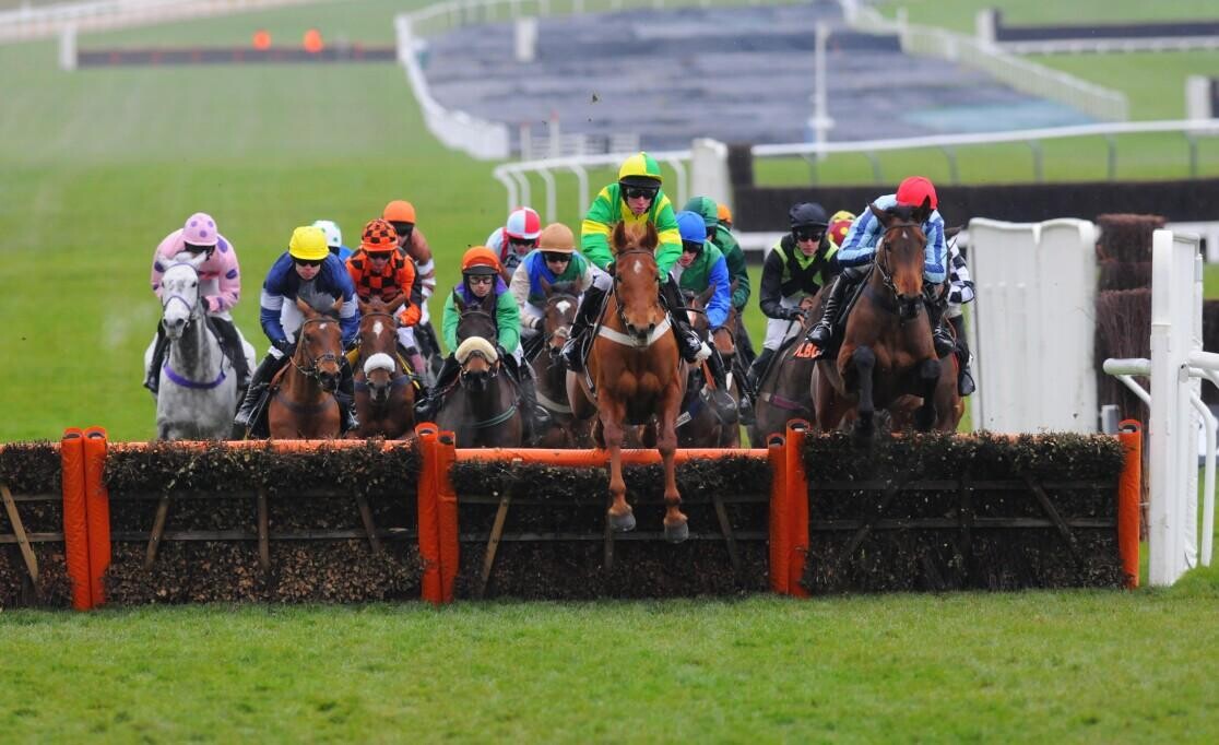 2023 Stayers Hurdle Preview, Trends & Analysis