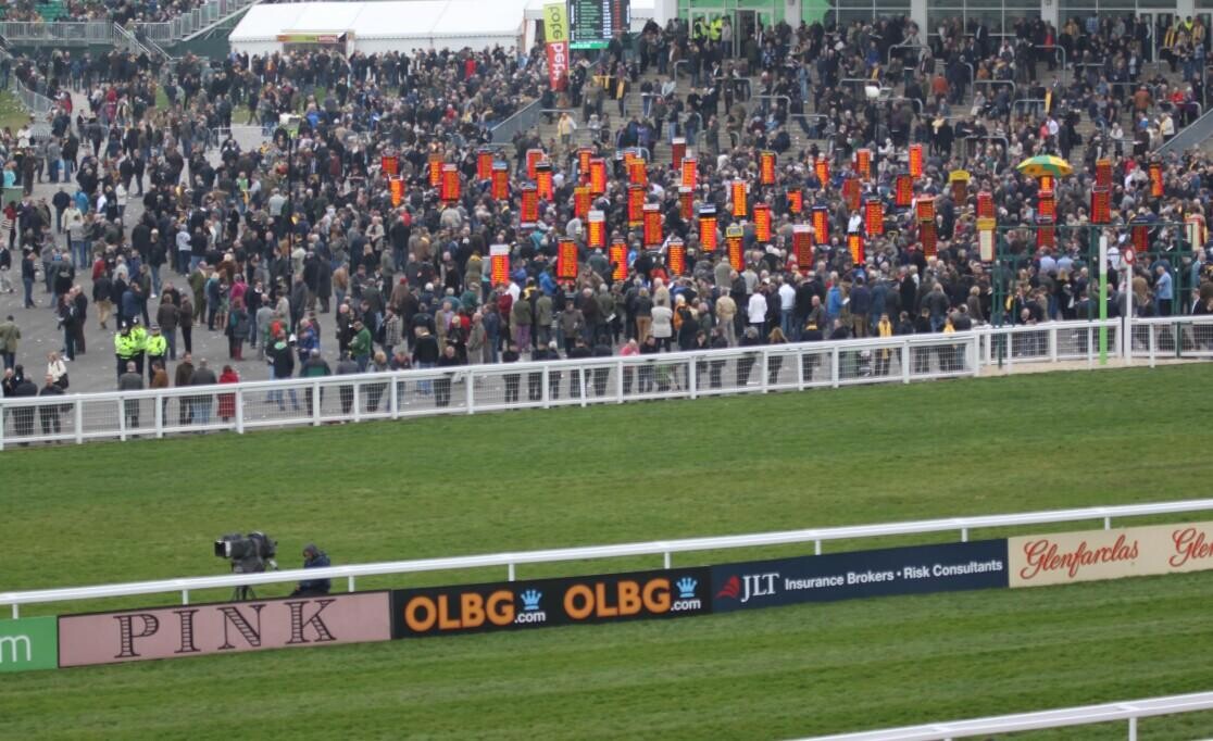 2023 Champion Hurdle Preview, Trends & Analysis