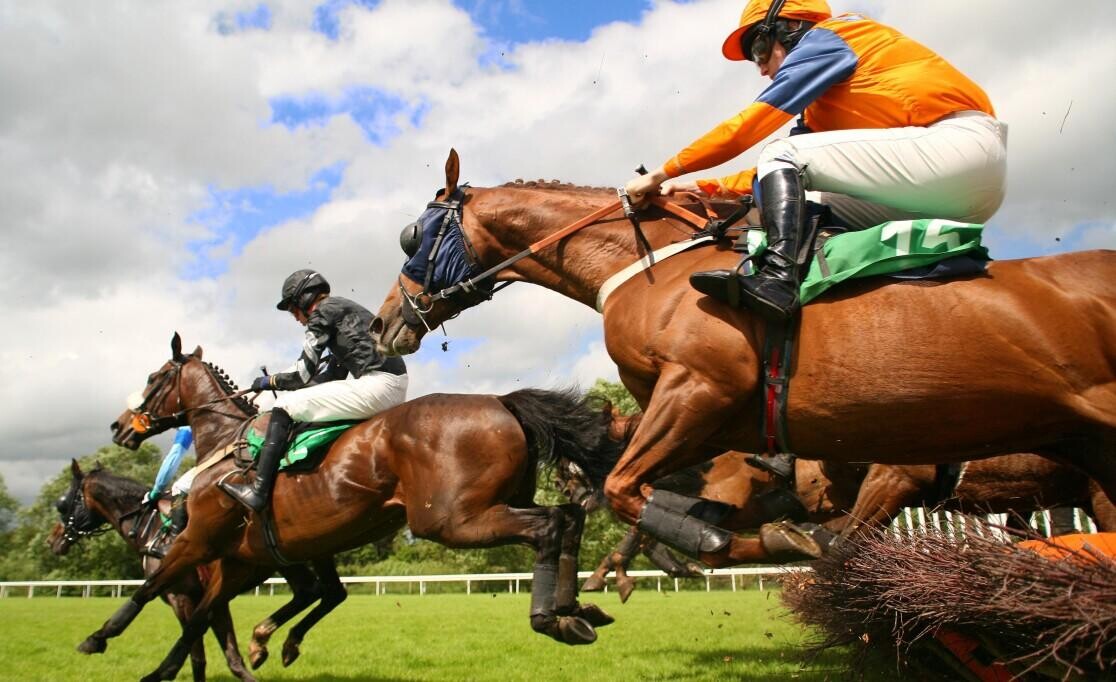 2023 Scottish Triumph Hurdle Preview, Trends & Analysis