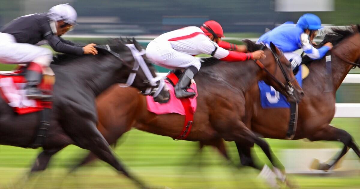 UAE Derby Preview, Tips, Runners & Trends (Dubai World Cup Night