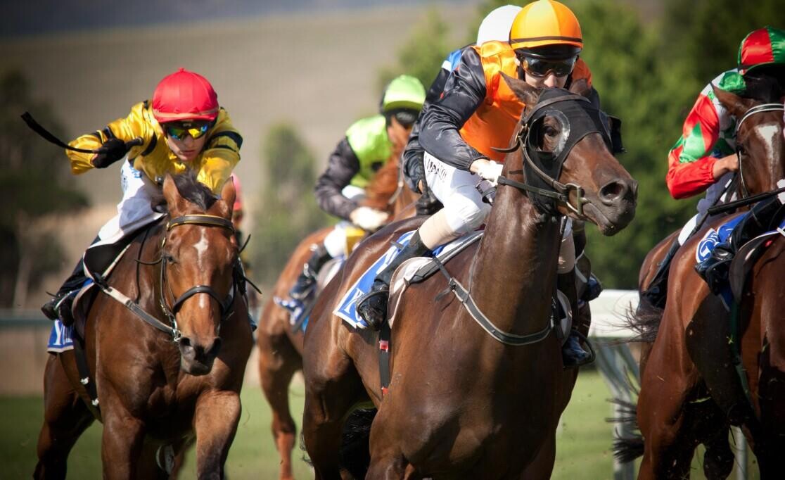2022 Thoroughbred Stakes Preview, Trends & Analysis