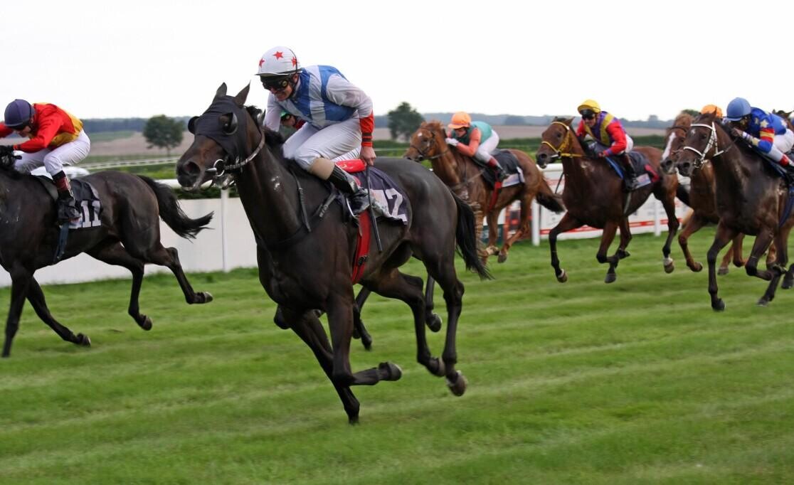 Symphony Group Handicap Preview, Trends & Analysis