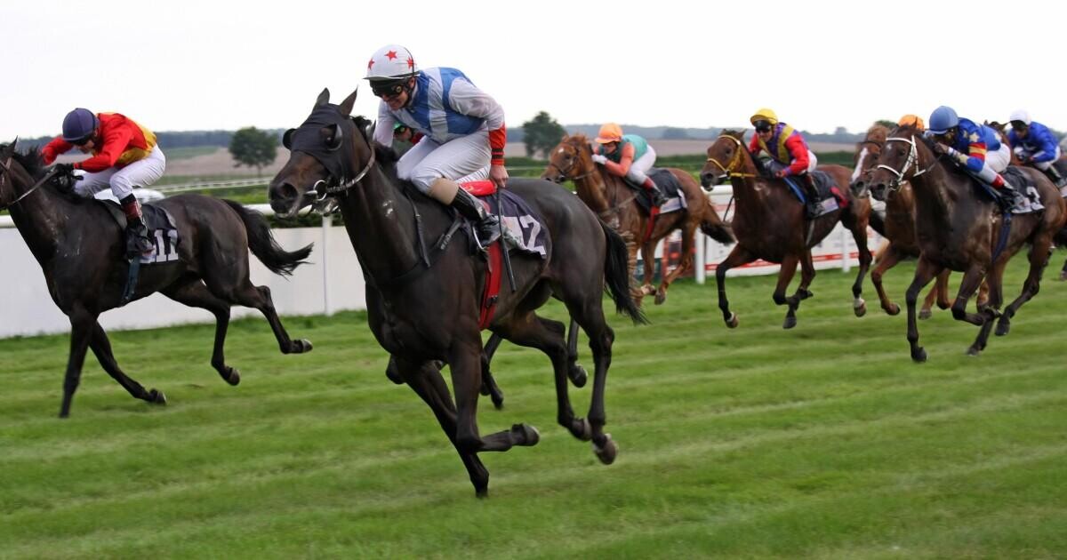 Olbg android app free Olbg android app free