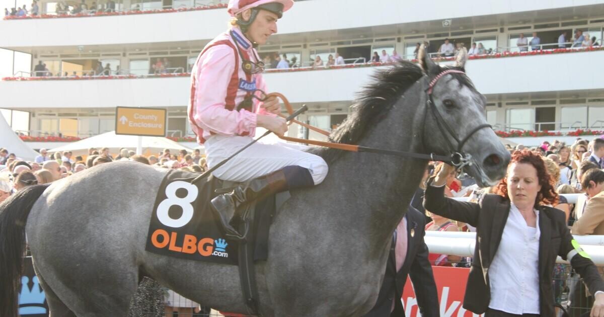 Horse Betting App Android Horse Betting App Android