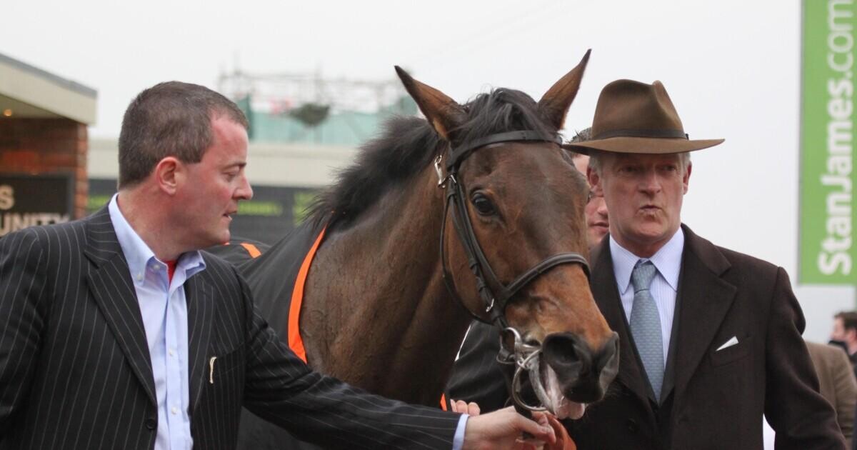 Cheltenham Festival Best Trainers OLBG cheltenham-festival-best-trainers-olbg