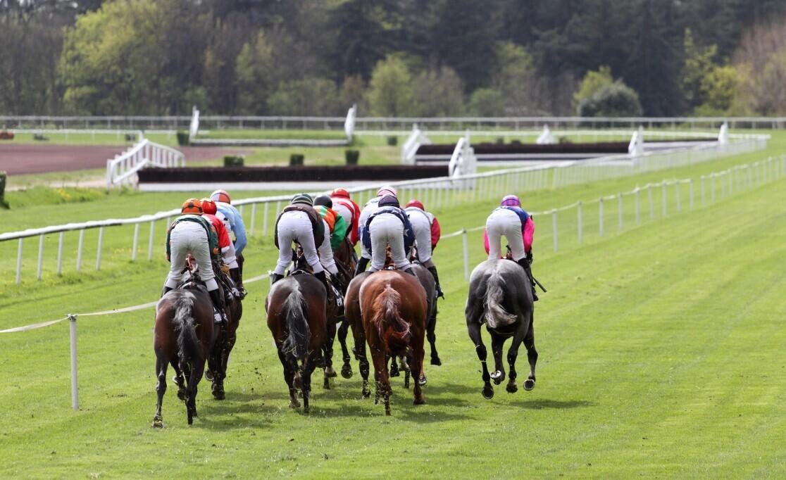 Acomb Stakes Preview, Trends & Analysis