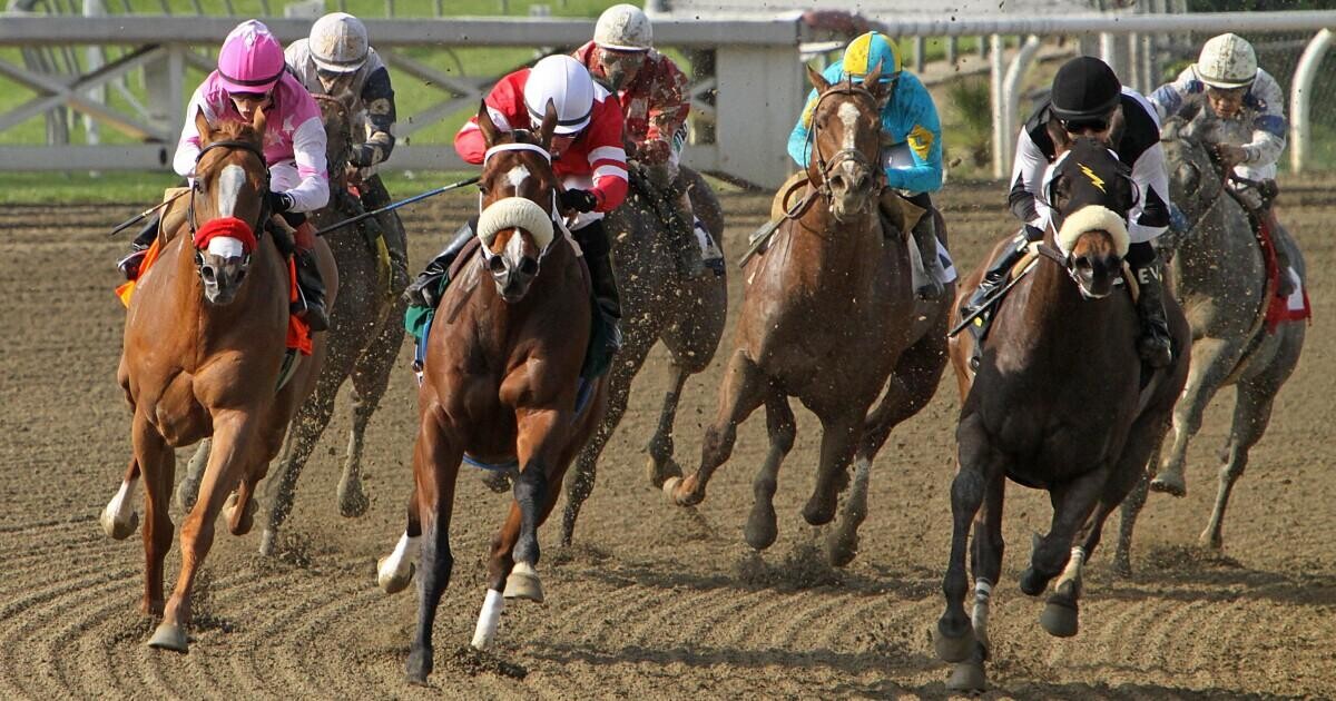 Belmont Stakes Preview, Tips, Runners & Trends