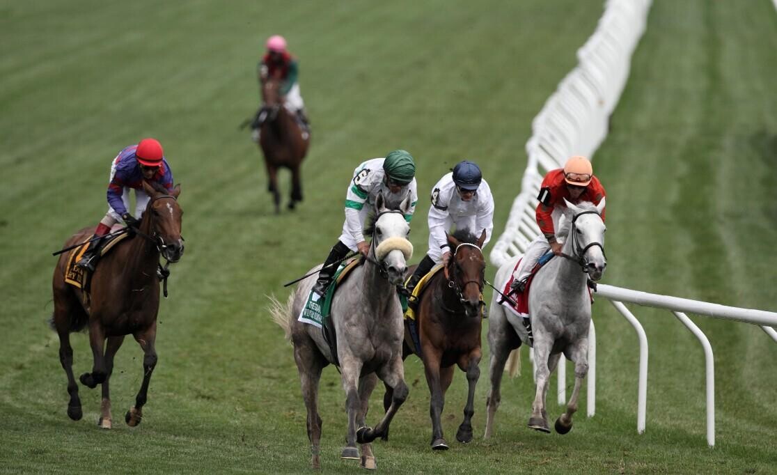 Juddmonte International Stakes Preview, Trends & Analysis