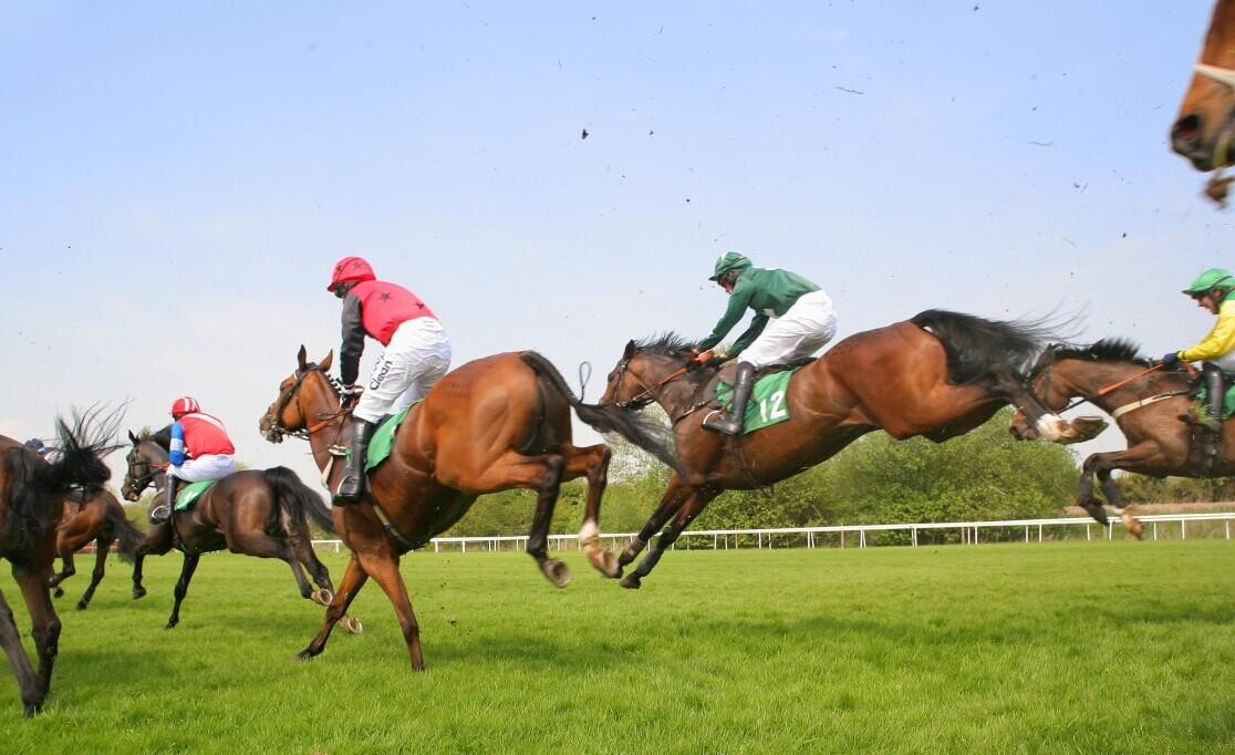 Becher Chase Preview, Trends & Analysis