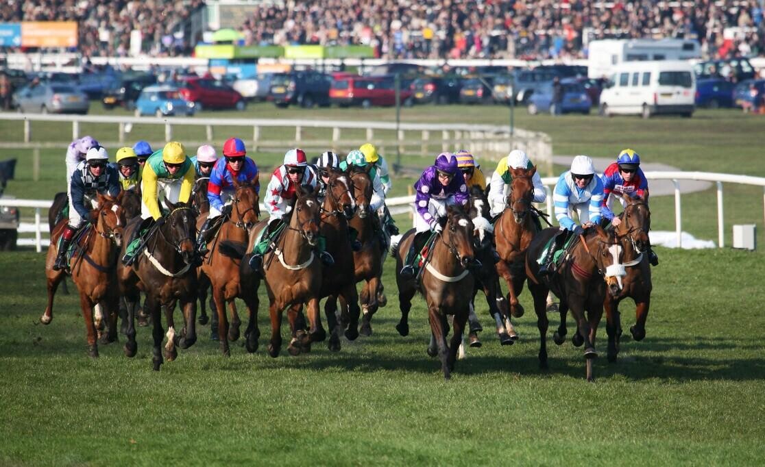 Royal Lodge Stakes Preview, Trends & Analysis (The Cambridgeshire Meeting)