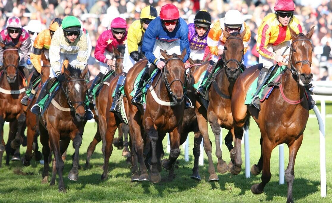 Melrose Heritage Handicap Preview, Trends & Analysis