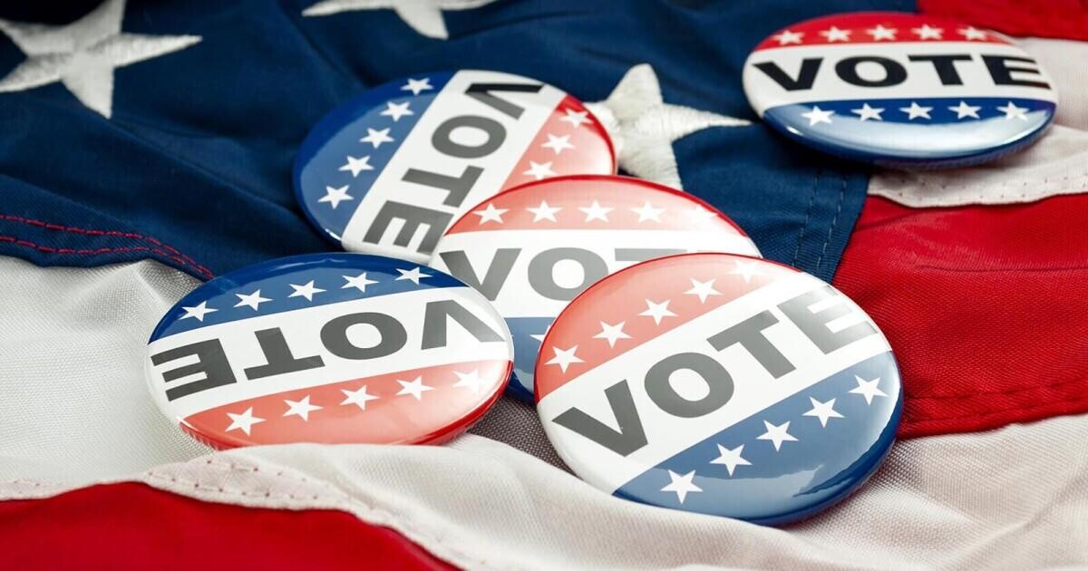 Bookie App Cricket Bookie App Cricket