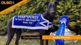Greyhound Derby Betting, Preview and Guide