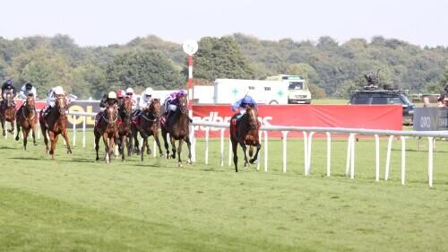 Doncaster Stakes Preview, Tips, Runners & Trends