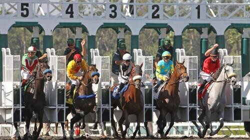 Pegasus World Cup Preview, Tips, Runners & Trends