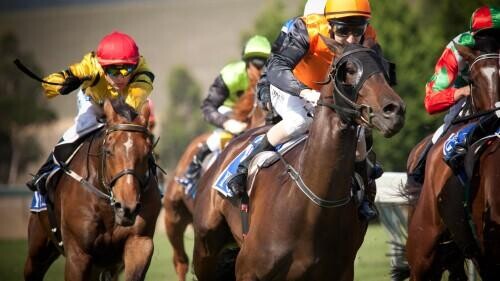 Ayr Bronze Cup Preview, Tips, Runners & Trends