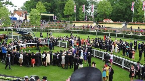 Shergar Cup Preview, Tips, Runners & Trends
