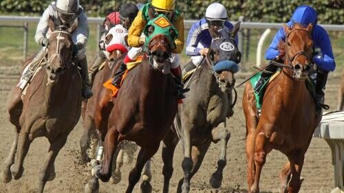 Acorn Stakes Betting Guide: Strategies, Statistics & Picks (Belmont Stakes Racing Festival)