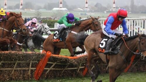JCB Triumph Trial Juvenile Hurdle Preview, Tips, Runners & Trends (November Meeting)