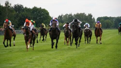 Ayr Silver Cup Preview, Tips, Runners & Trends