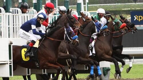 Hong Kong Jockey Club Sprint Preview, Tips, Runners & Trends