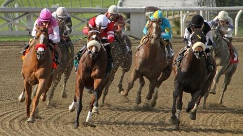 Haskell Stakes Betting Guide: Strategies, Statistics & Picks
