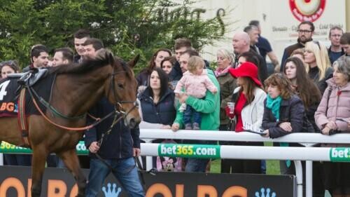 Christmas Hurdle Preview, Tips, Runners & Trends