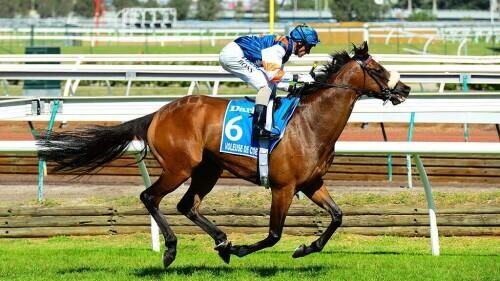 Empire Rose Stakes Preview, Tips, Runners & Trends (Melbourne Cup Carnival)
