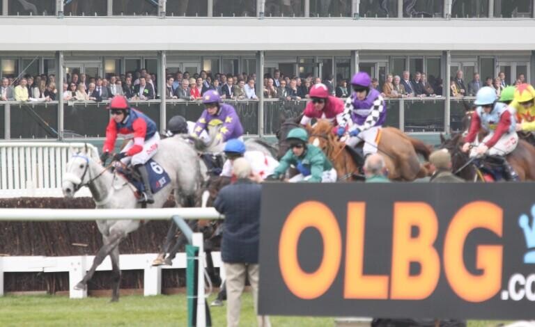 Major Study Into Gambling Reveals One In Ten Are Planning to Bet More at Cheltenham Festival This Year