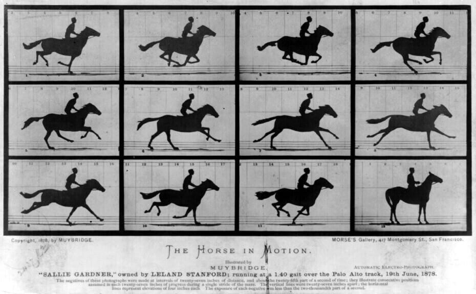 Sallie Gardner at a Gallop