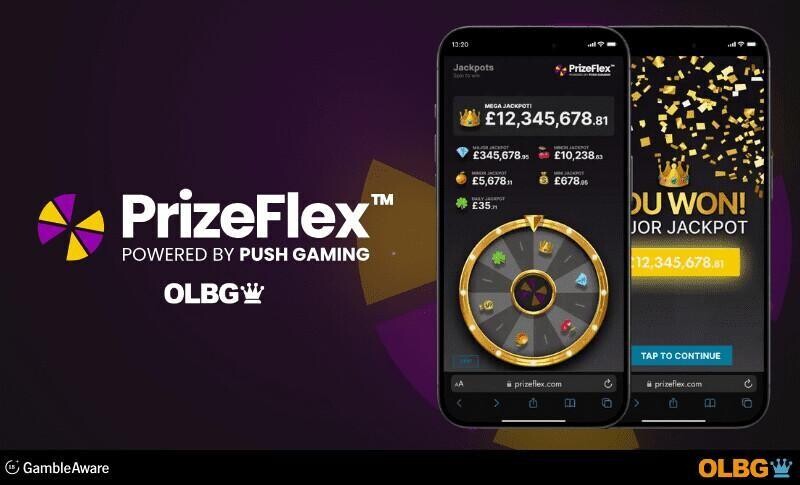 About PrizeFlex Interview banner