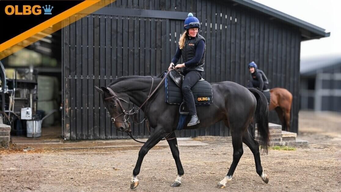 Lasko des Obeaux at the stables