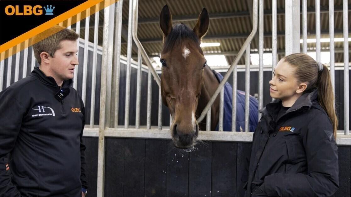 Man at Work with Harry Derham at the stables