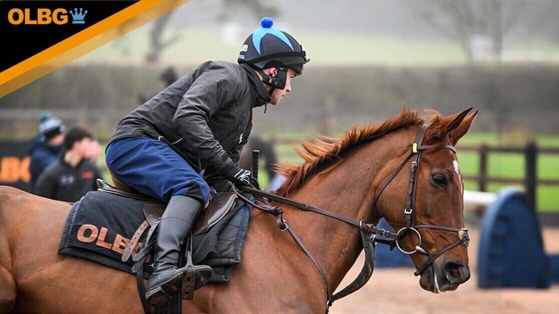 Queens Gamble excercising