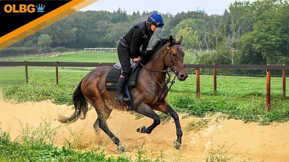 Teddy Blue running