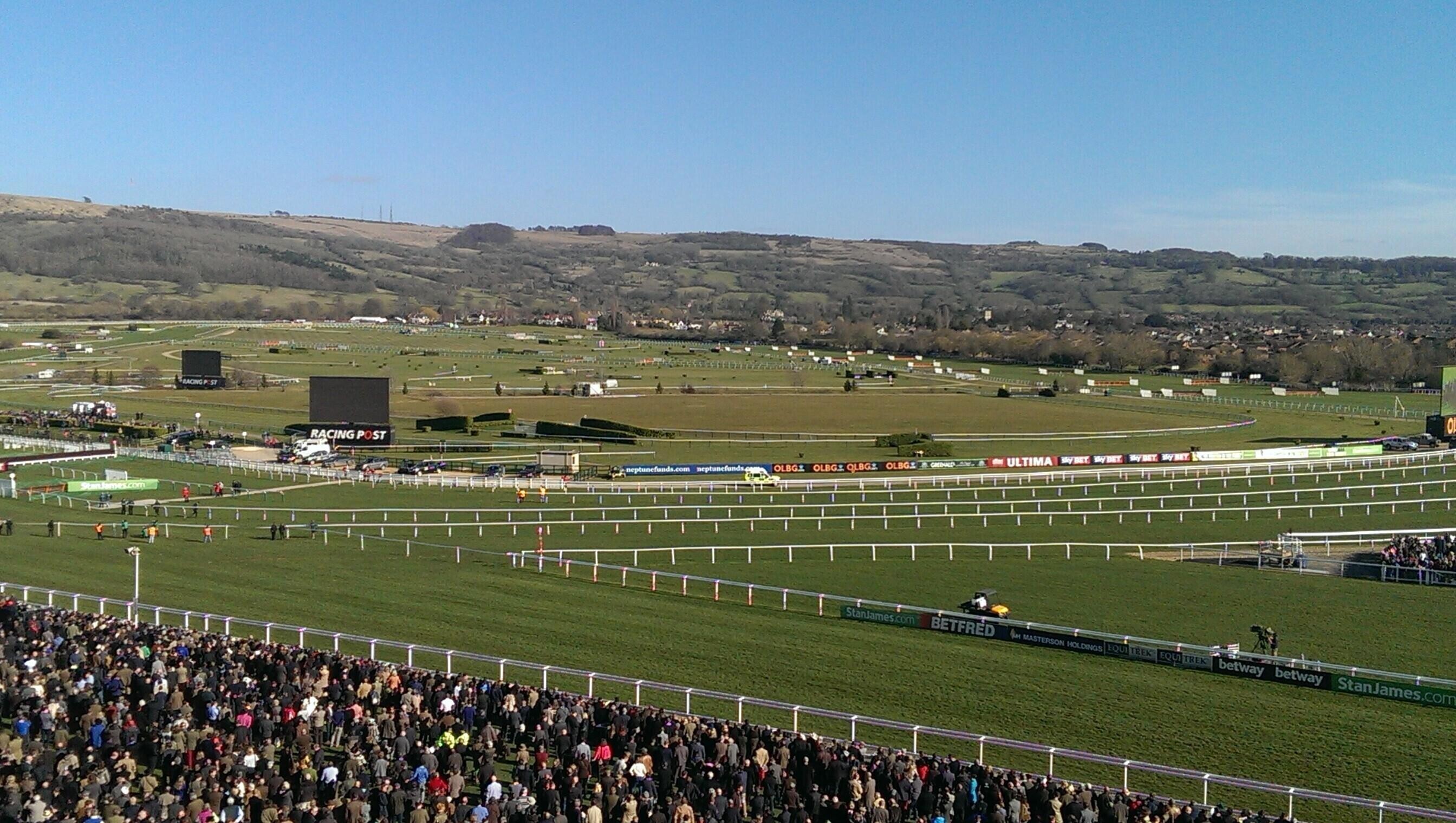Essential Guide To The Cheltenham Festival 2025