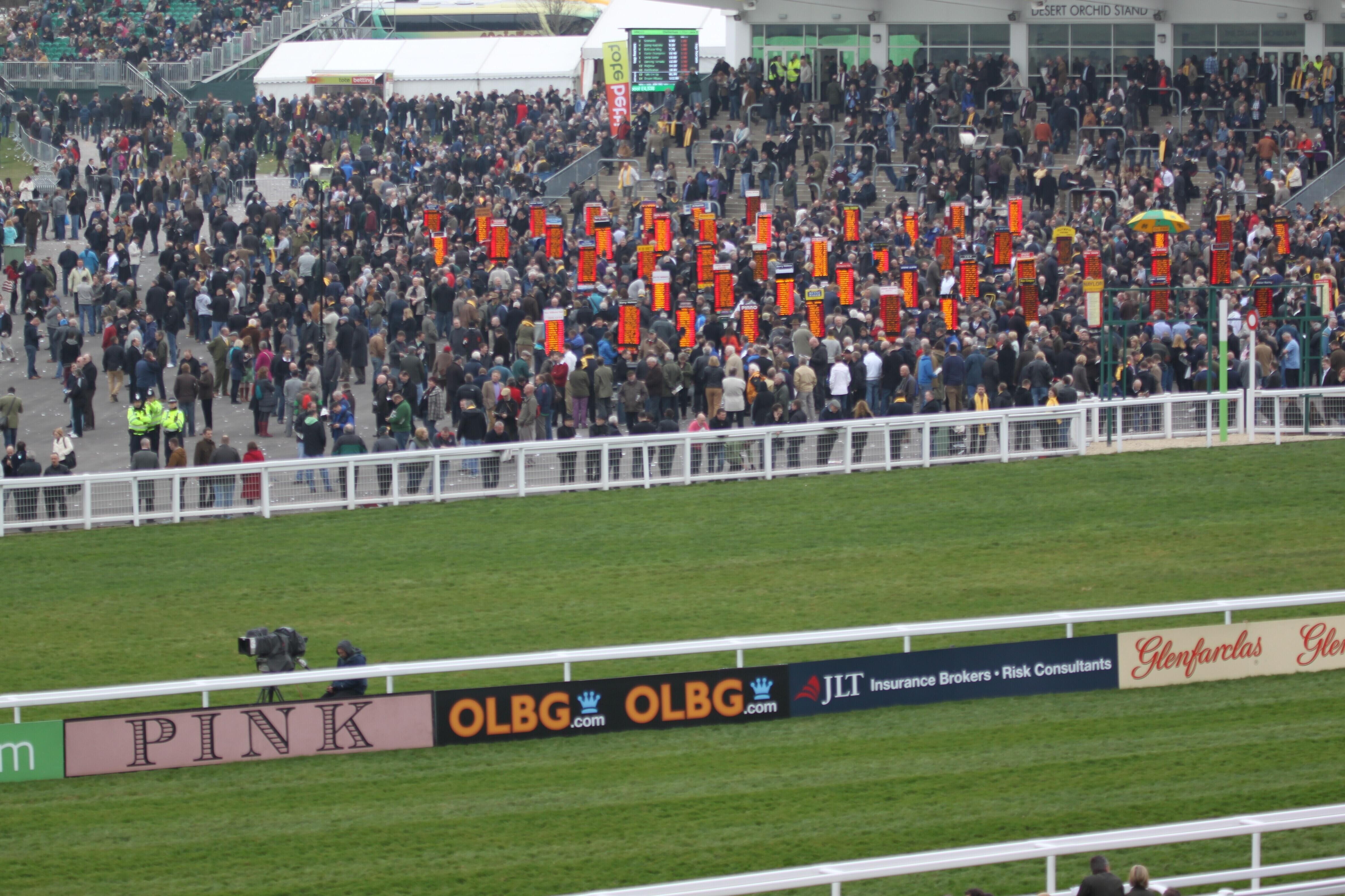 Essential Guide To The Cheltenham Festival 2025 - OLBG.com