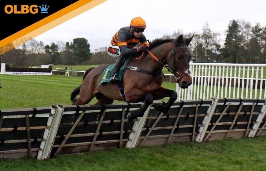 olbg at horse racing
