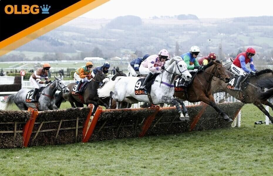 olbg at horse racing